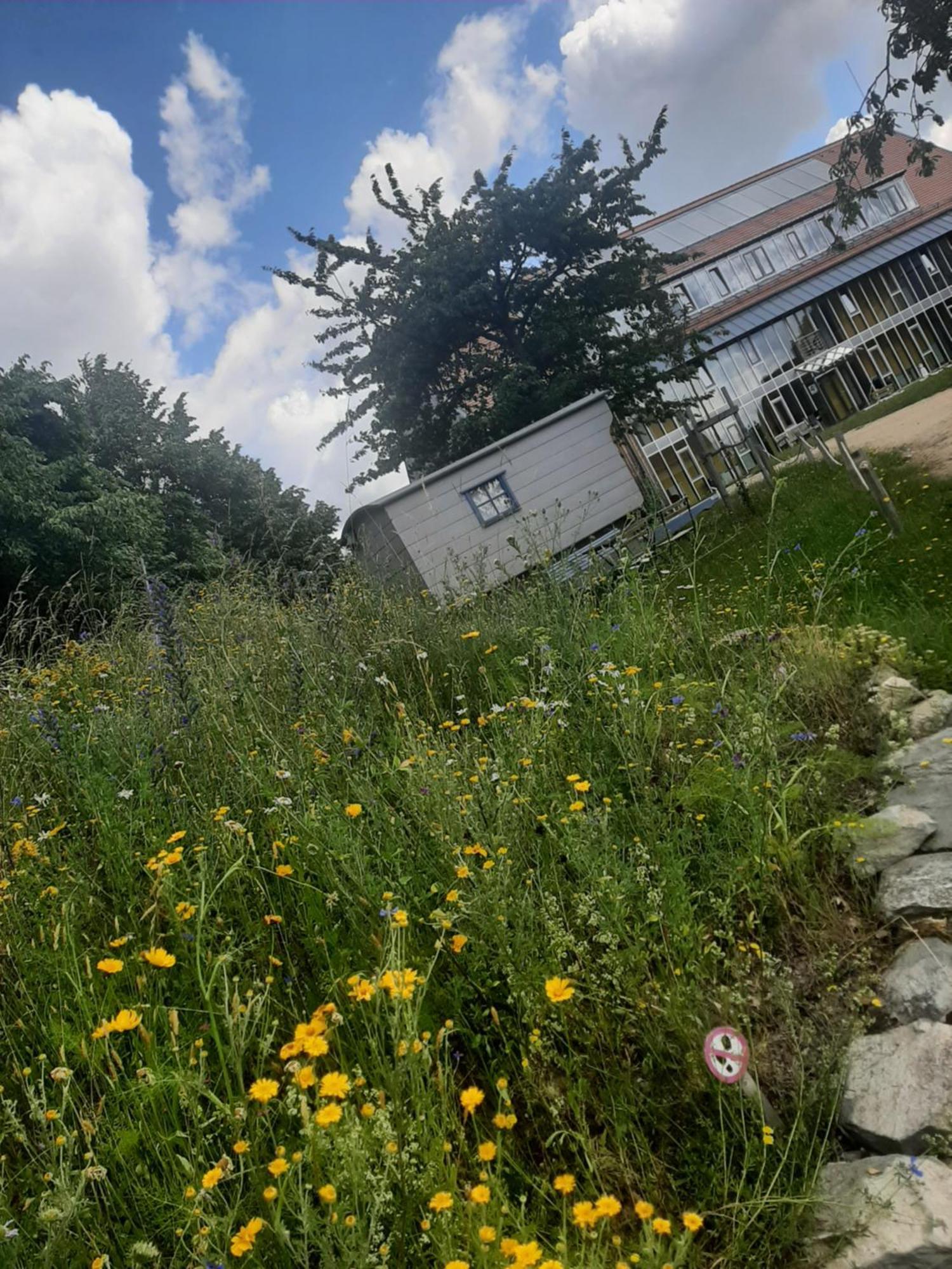 Saechsische Bildungs- Und Begegnungsstaette Windmuehle Seifhennersdorf Hotel Buitenkant foto